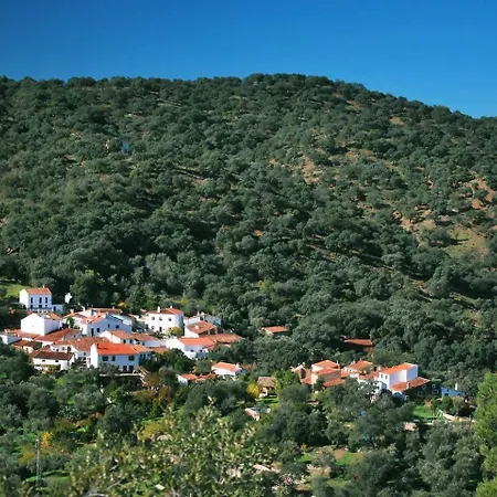 El Olivo