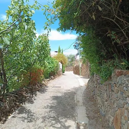 El Olivo